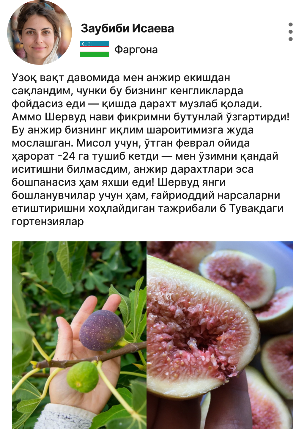Заголовок