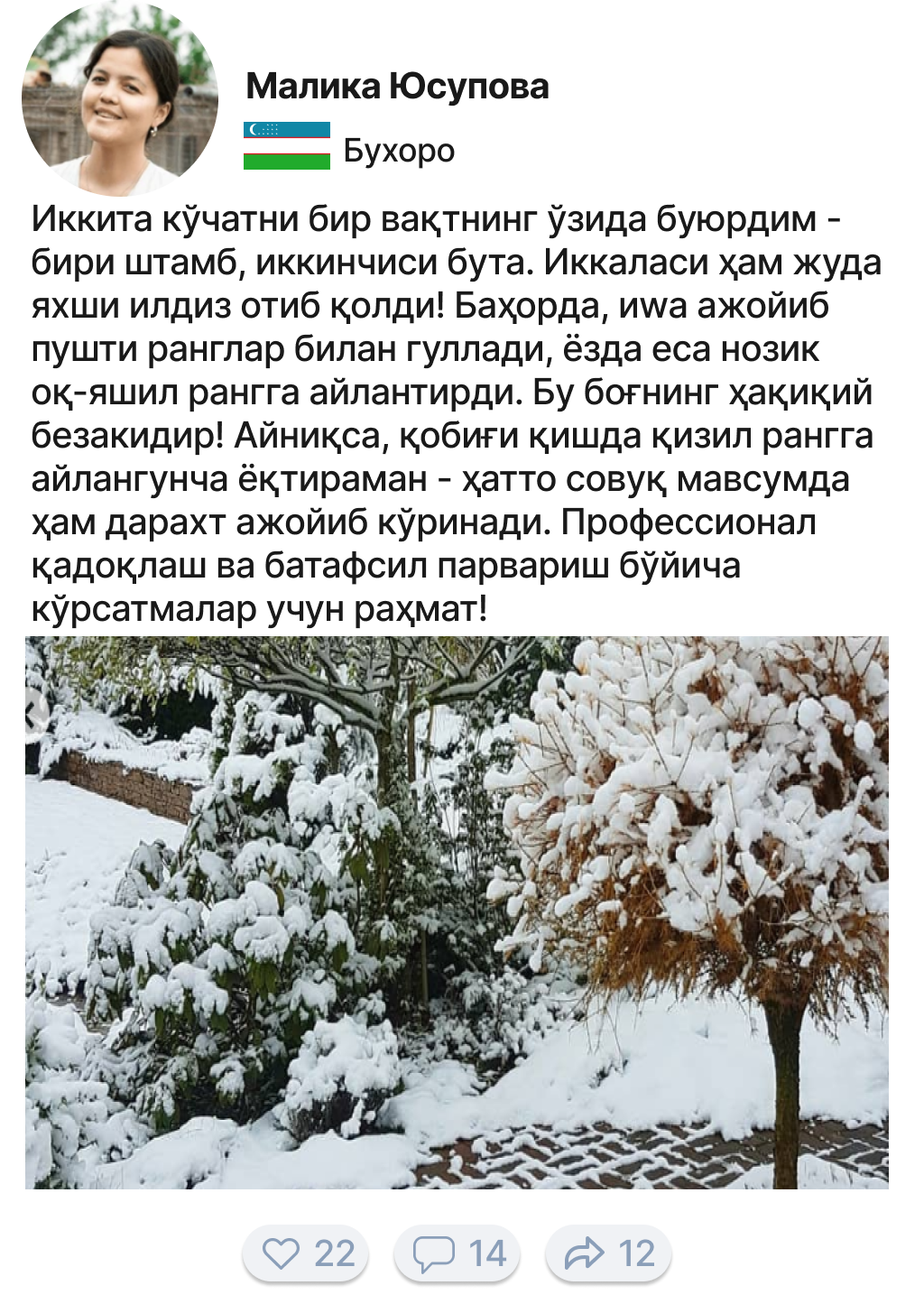 Заголовок