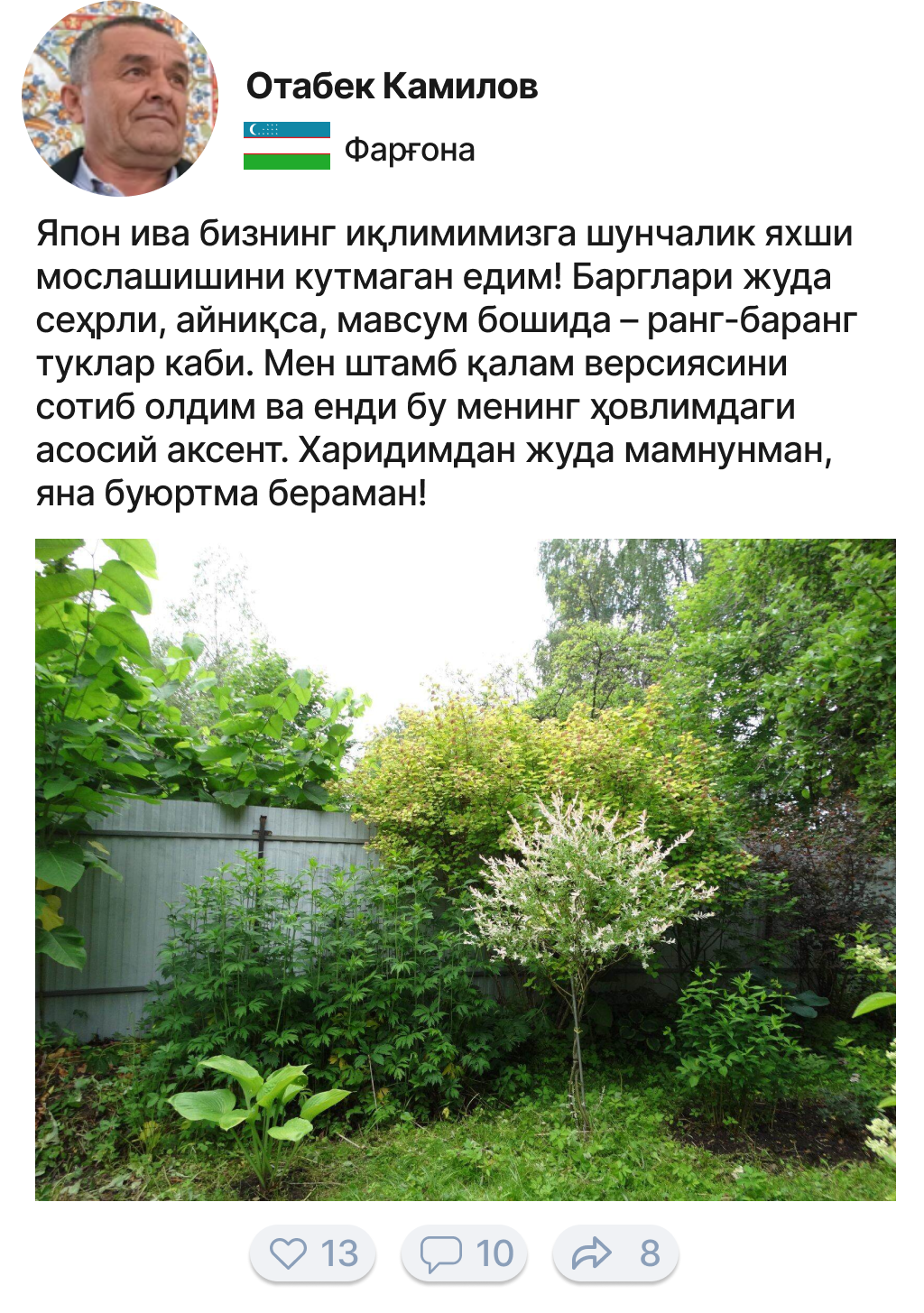 Заголовок