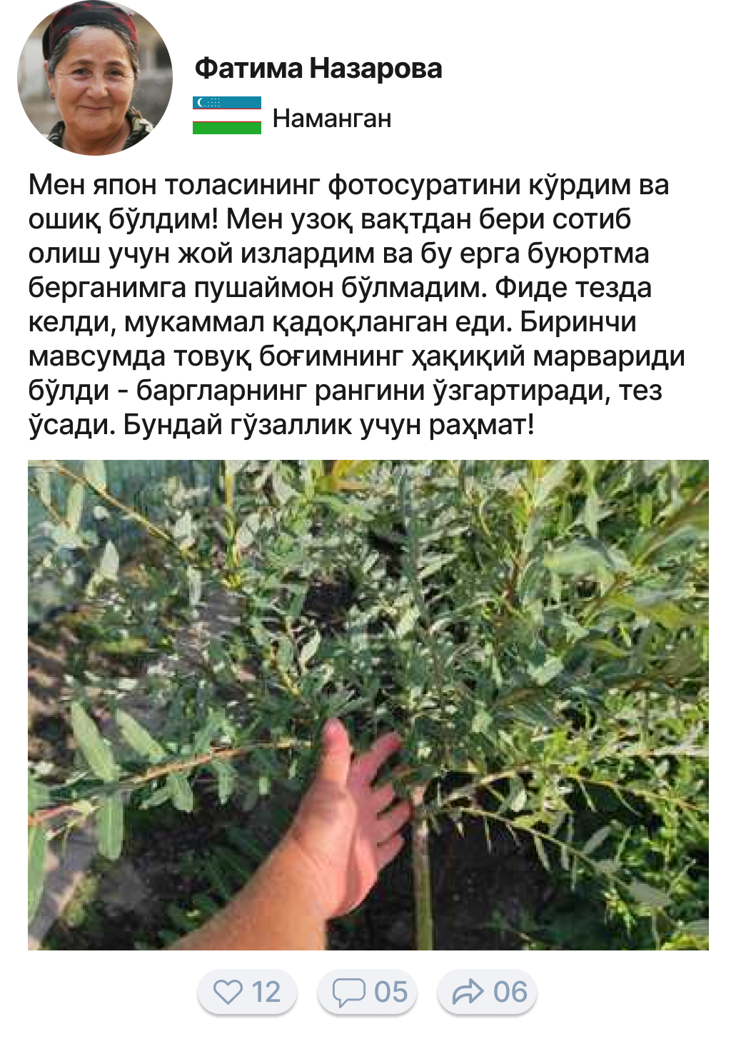 Заголовок