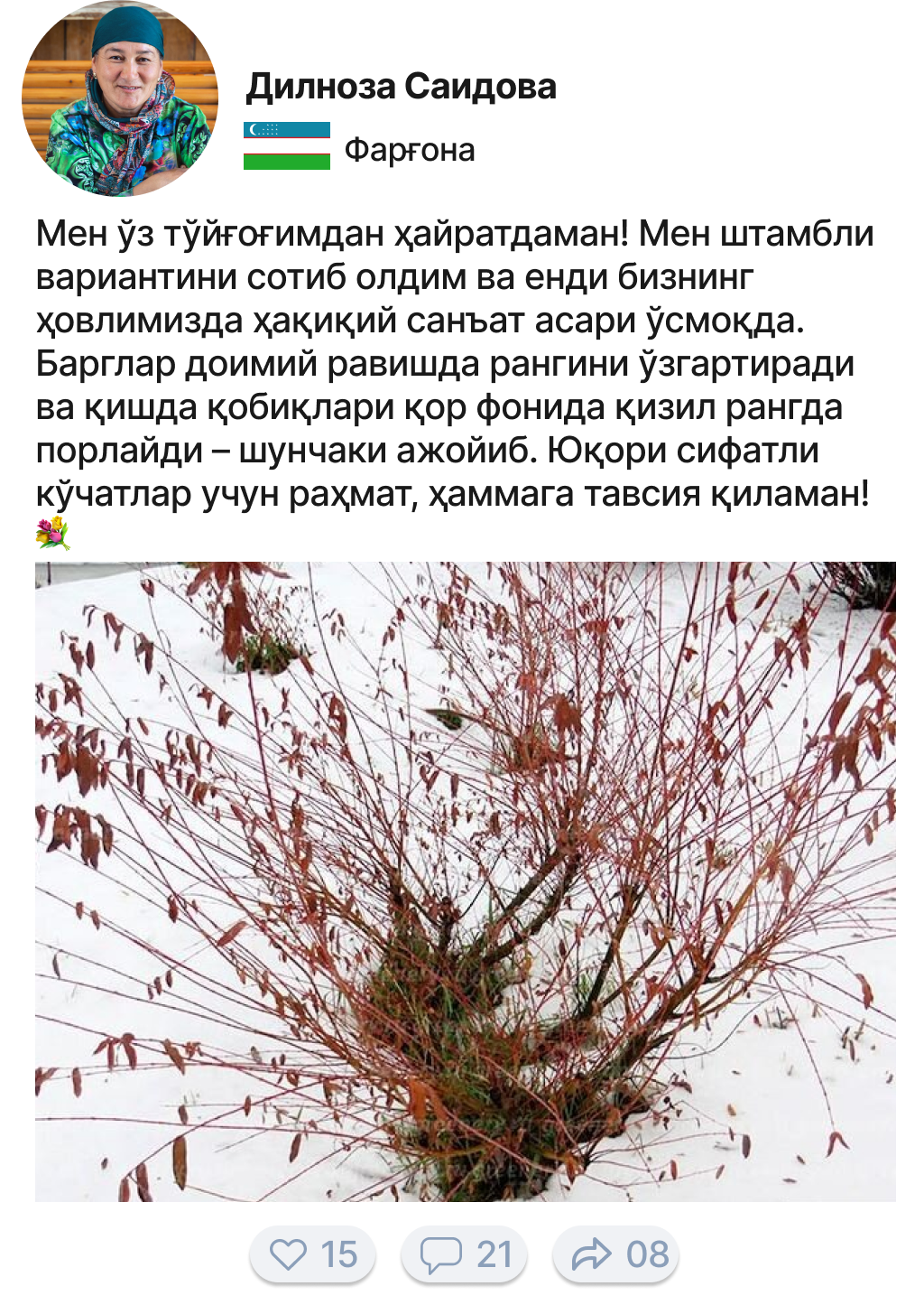 Заголовок